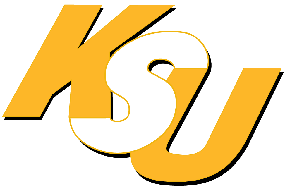 Kennesaw State Owls 0-2011 Wordmark Logo t shirts DIY iron ons v2